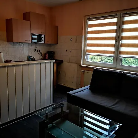 Polat 4 Apartment Essen